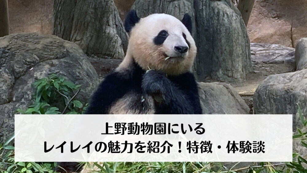 上野動物園にいるレイレイの魅力を紹介！特徴・体験談